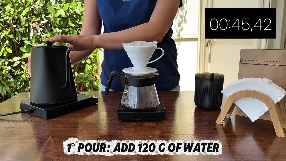 Step 3 V60